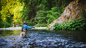 Fly Fishing on the Sacramento River