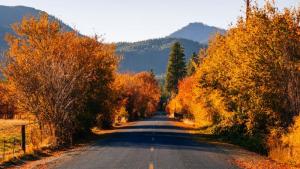 Central Siskiyou Early Morning Color
