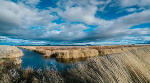 Eastern Siskiyou Loweer Klamath National Wildlife Refuge