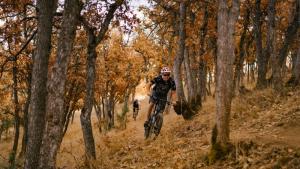 Mountain Biking in Greenhorn Park