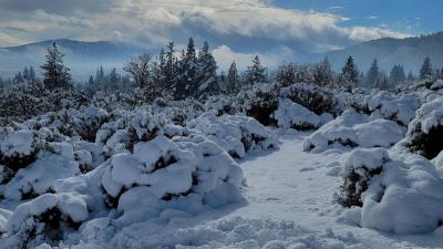A photo of recent snowfall