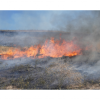 Smoke Visible Mt. Shasta