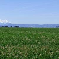 Butte Valley