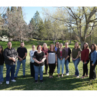 National Social Work Team