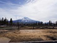 Debris Clean-up Mill Fire 4