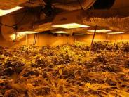 An inside grow eradication