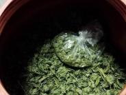 Processed Marijuana from 2018