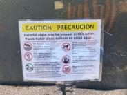 Lake Shastina Algae Bloom Caution sign