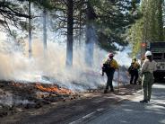 Controlled burn_1
