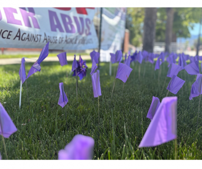Elder Abuse Awareness Month Flags