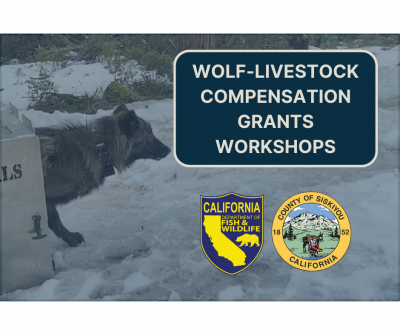 Wolf-Livestock Compensation Grants Workshops