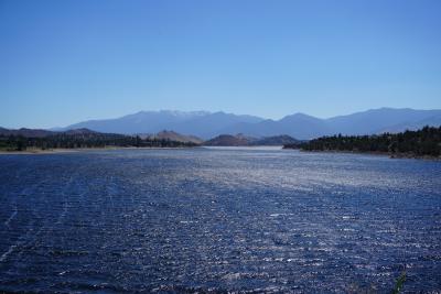 Lake Shastina Potential Bloom Image