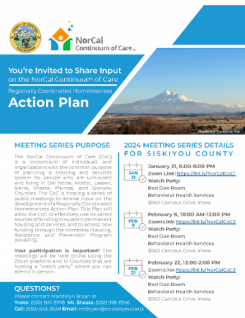 CoC Action Plan Flyer
