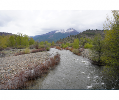 Scott River Image