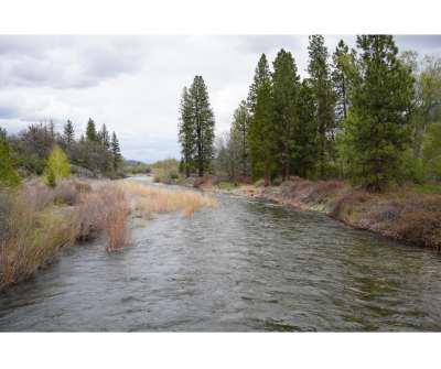 Scott River Image