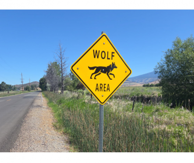 Wolf Sign
