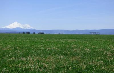 Butte Valley