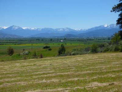 Scott Valley