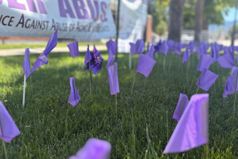 Elder Abuse Awareness Month Flags